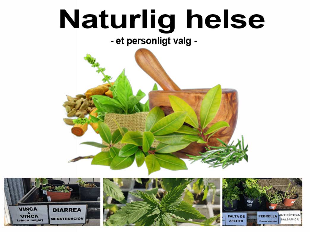 Haturlige helse planter